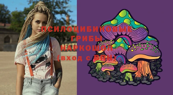 дмт Аркадак