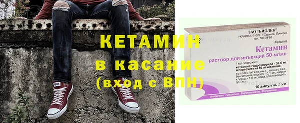 трава Наволоки