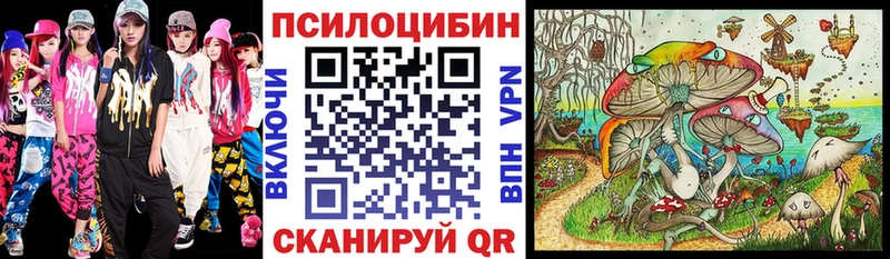 OMG ONION  Соль-Илецк  Галлюциногенные грибы мухоморы 
